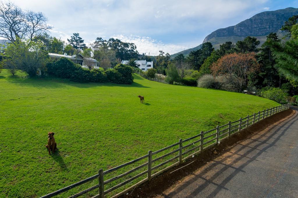 De Molen Guest House Somerset West Exterior foto
